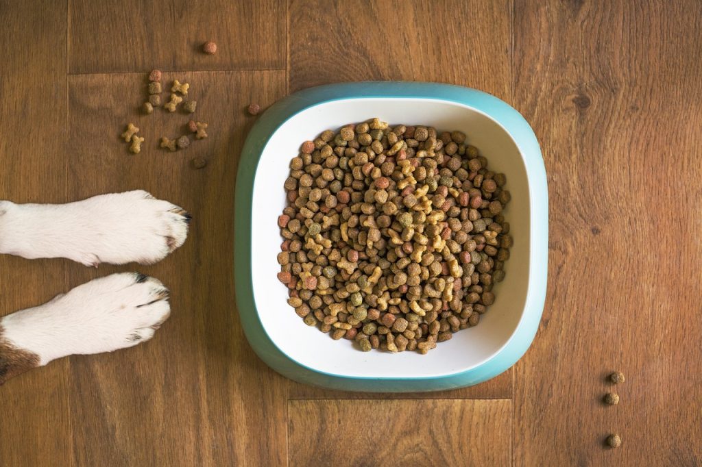 Chewy Store Pet Food 4